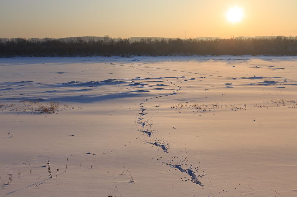 Photograph by виктор ковчин