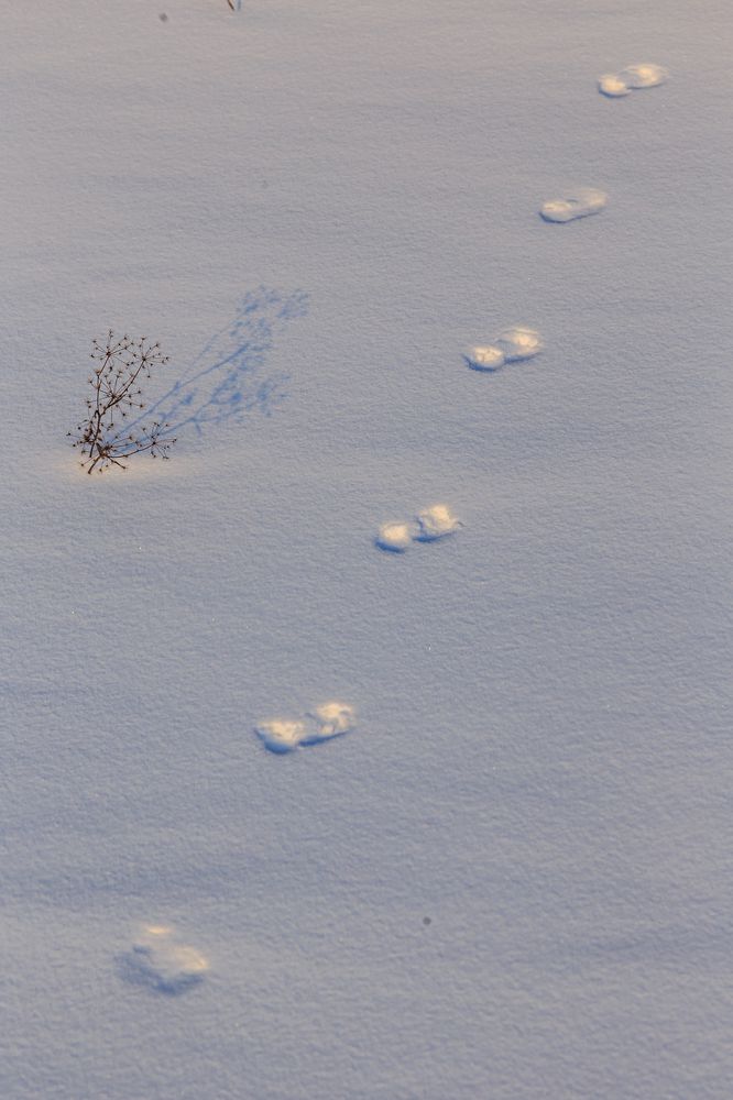 Photograph by виктор ковчин