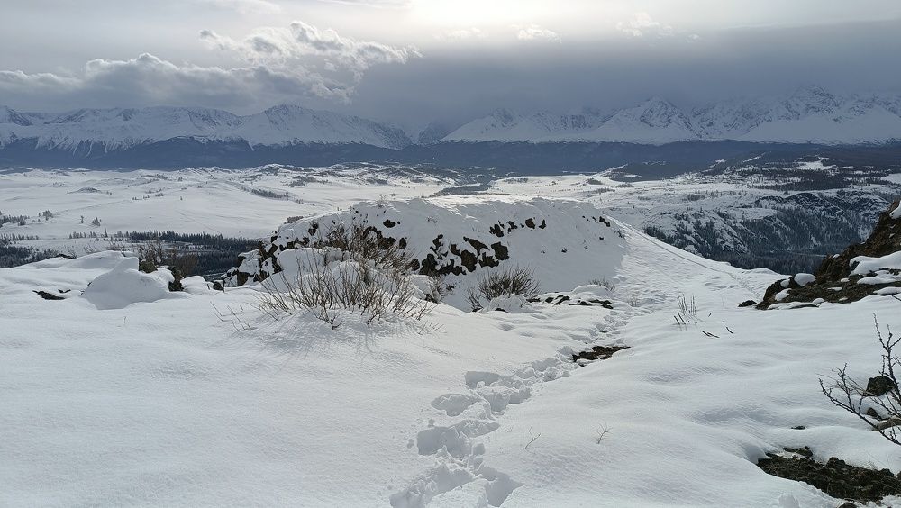 Photograph by Надежда Михайлина