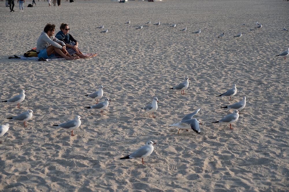 Фотография автора Abie Davies Thekkanath