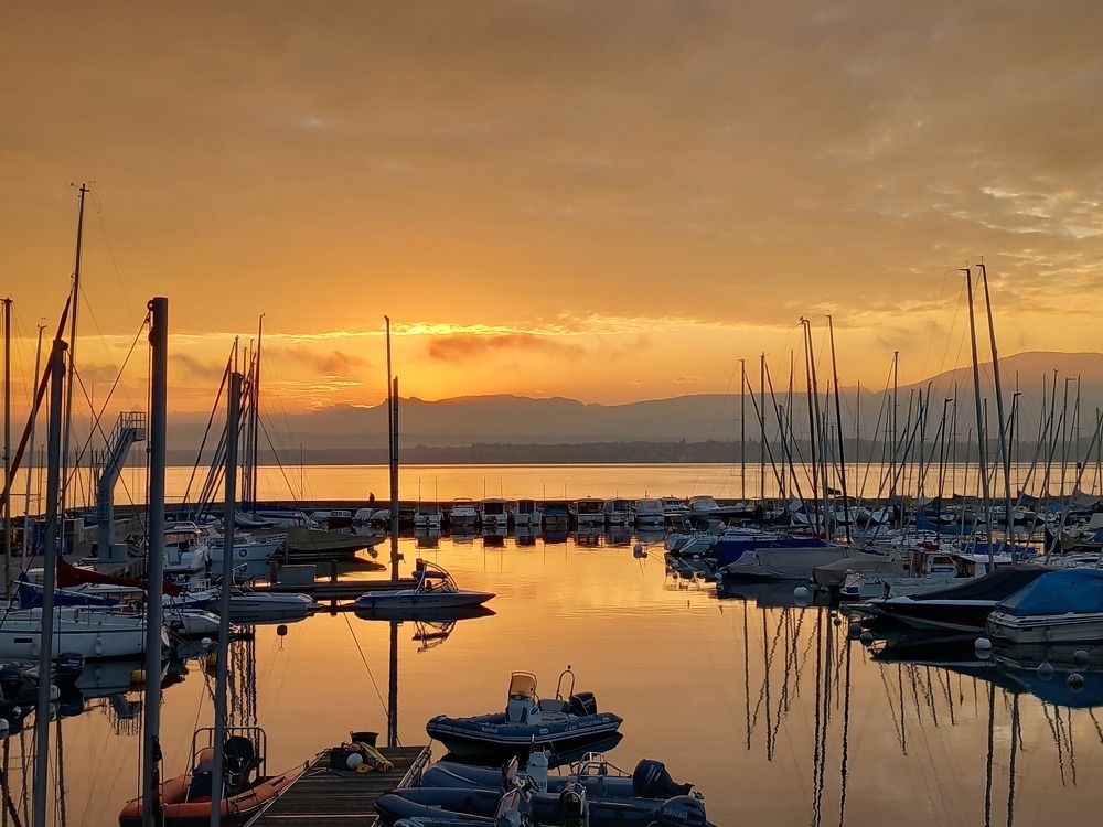 Фотография автора Елена Чернова