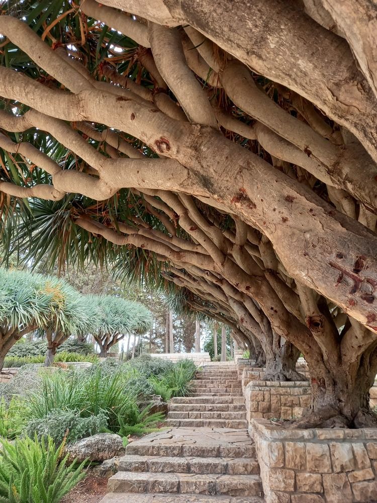 Фотография автора Oksana Podgorodetska