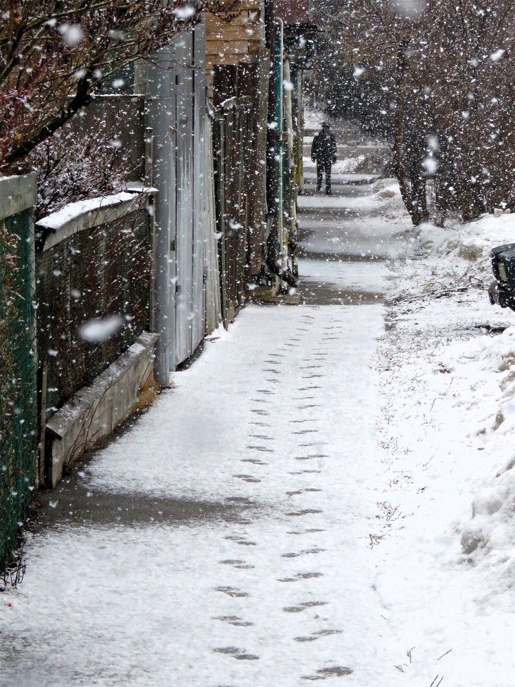 Photograph by НАТАЛЬЯ РОДИНА