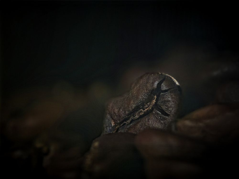 Фотография автора Olga Shchetinina