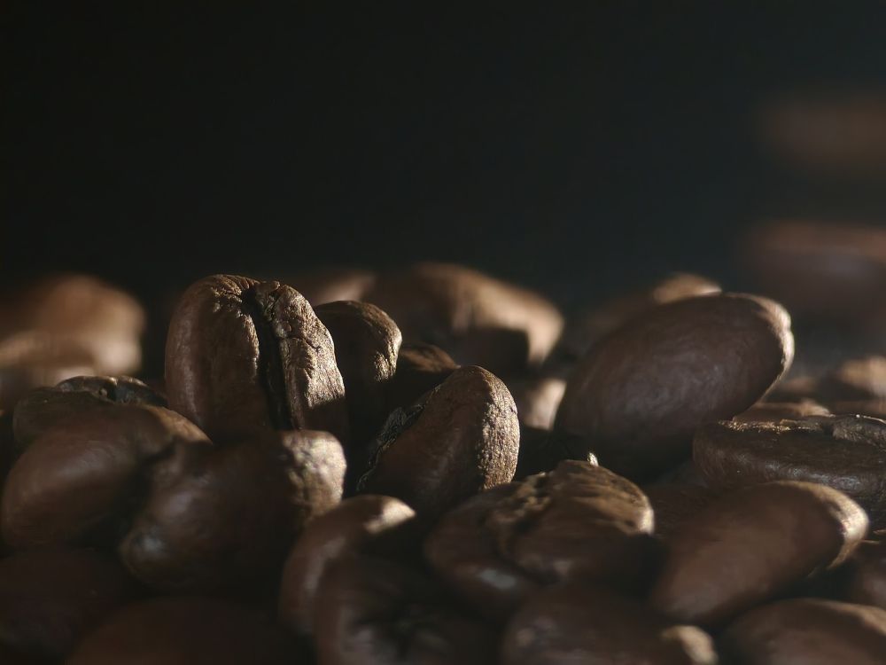 Фотография автора Olga Shchetinina