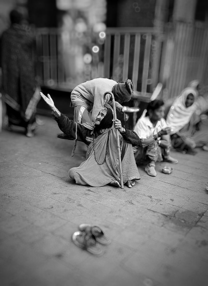 Photo #11266150