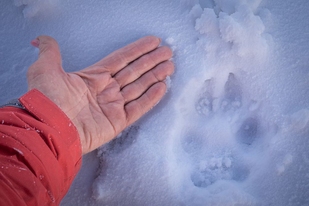 Photograph by Ольга Мусиенко