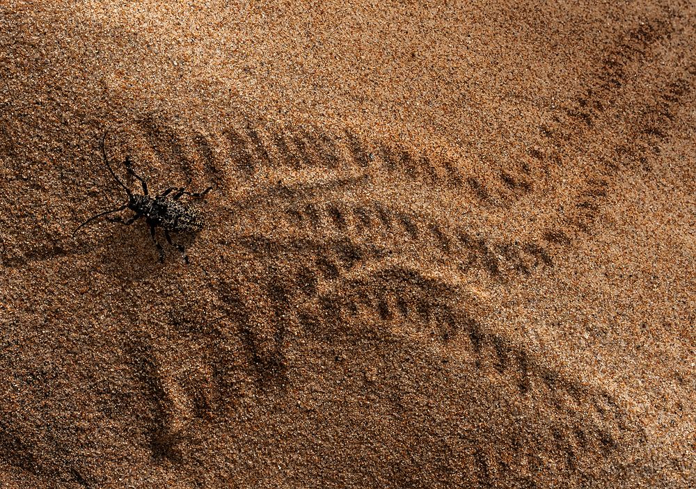 Photograph by Ольга Мусиенко