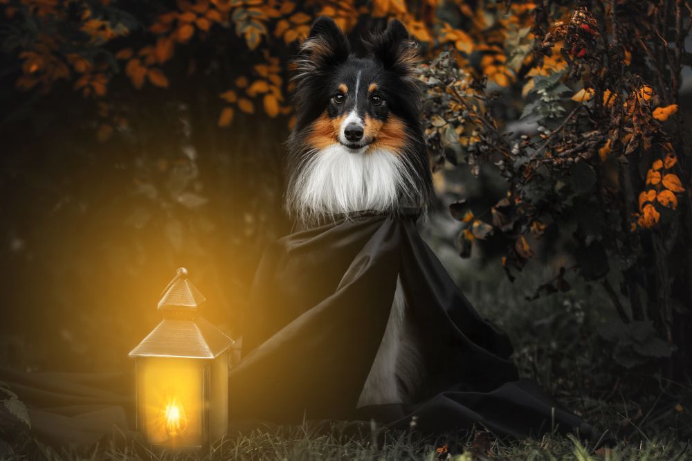 Photograph by Зубкова Юлия