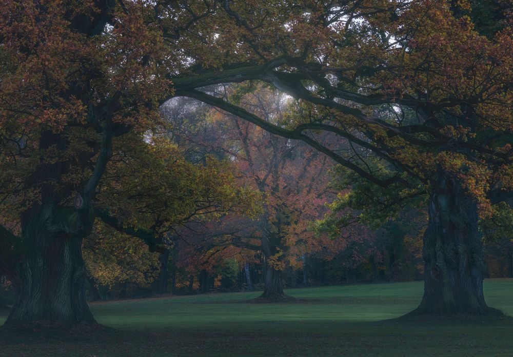 Фотография автора Adam Nedojedlý