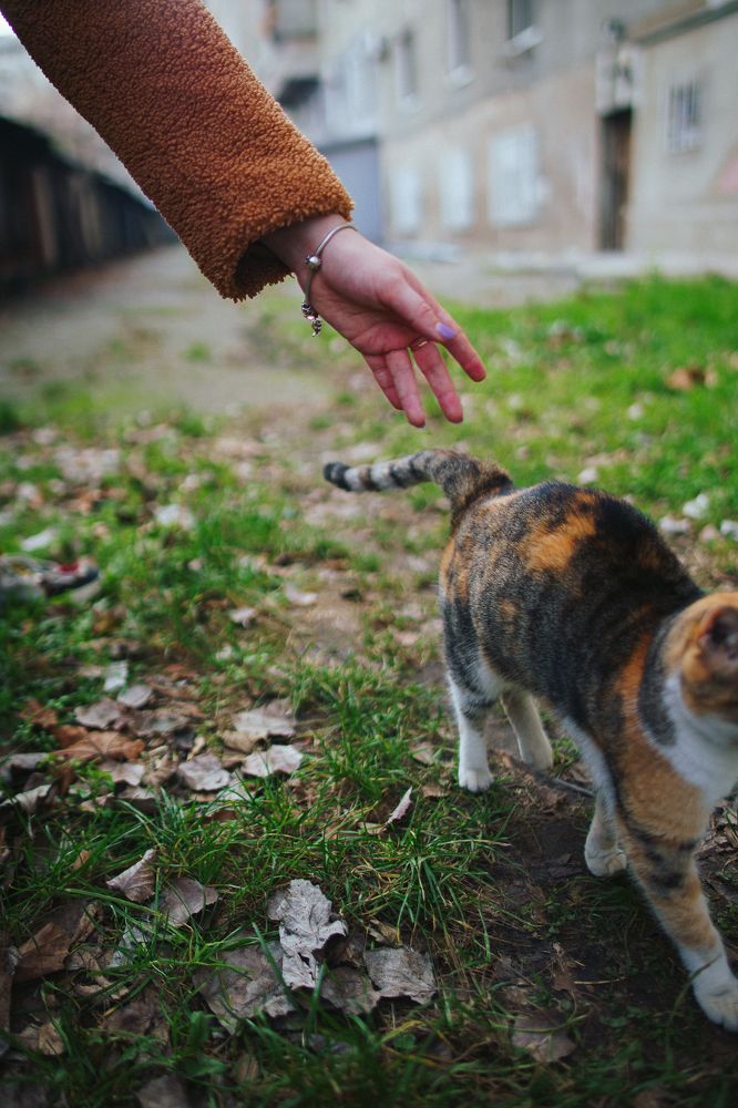 Photograph by Oleg Kozachok
