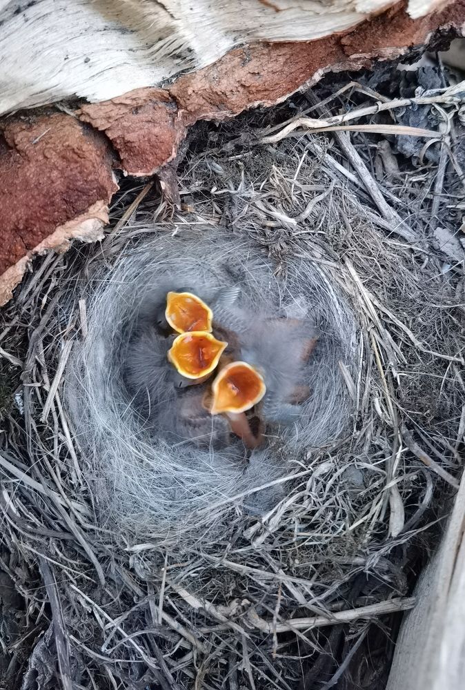 Photograph by Инна Адамович