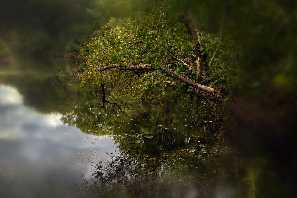 Фотография автора Бичинев Александр