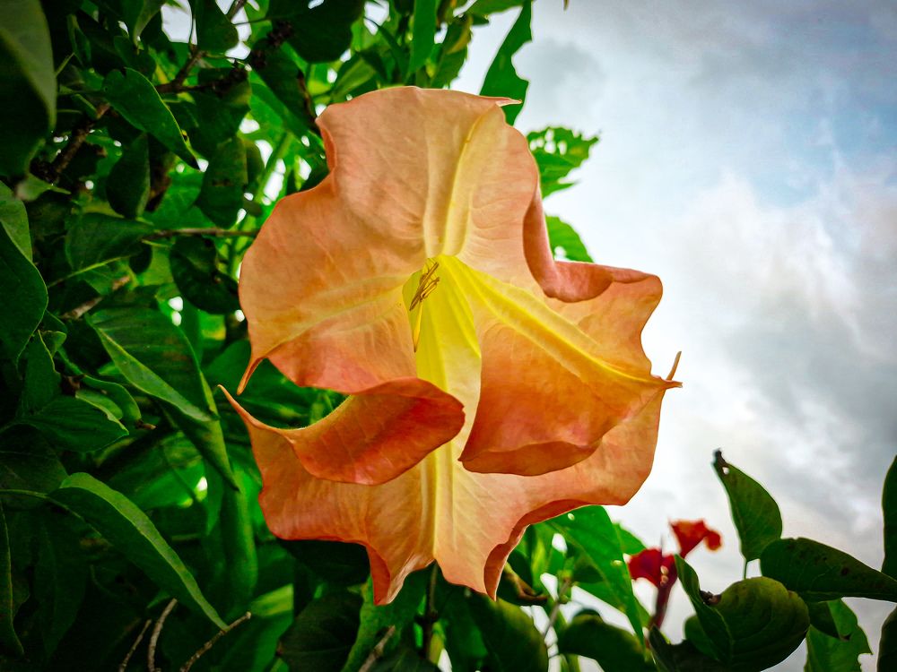 Photograph by Игорь Чечин