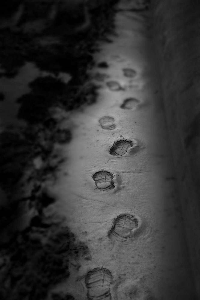 Photograph by Елена Ласун