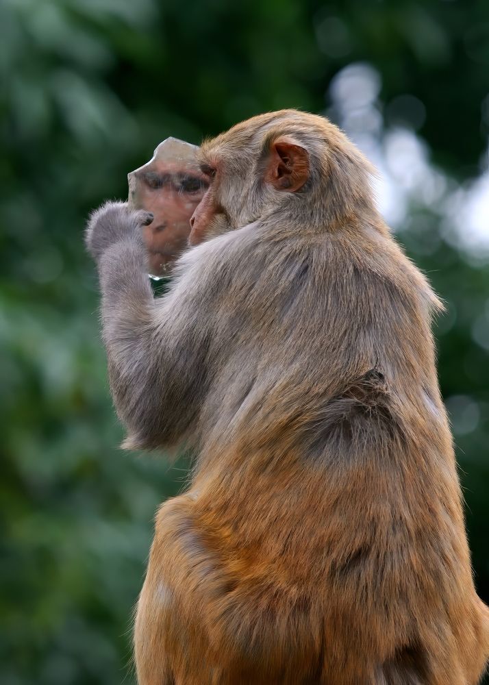 Photograph by Kozionov Pavel