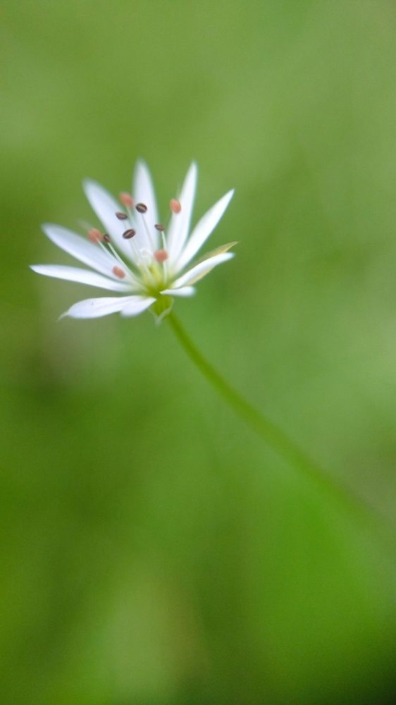 Photograph by Карина Шаланкова