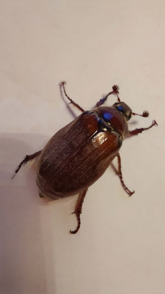 Photograph by Виктория Воронкова