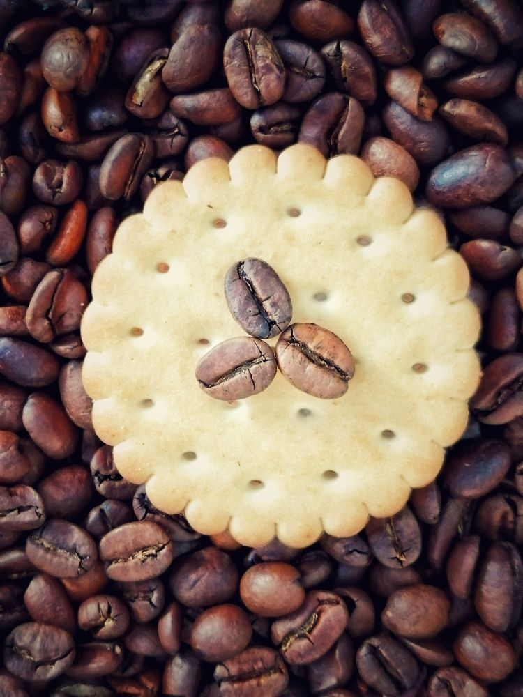 Фотография автора НАТАЛЬЯ СЕВЕР