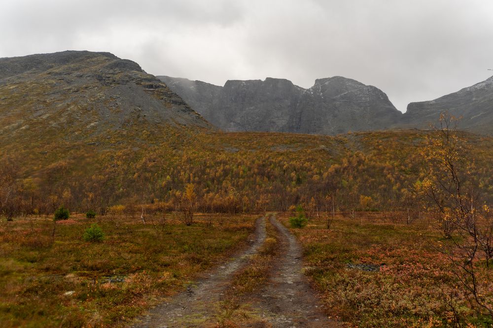 Photograph by Дарья Карамышева