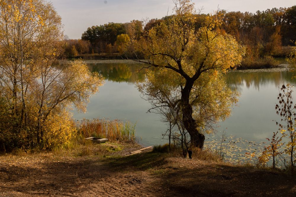 Photograph by Елена Гольдебаева