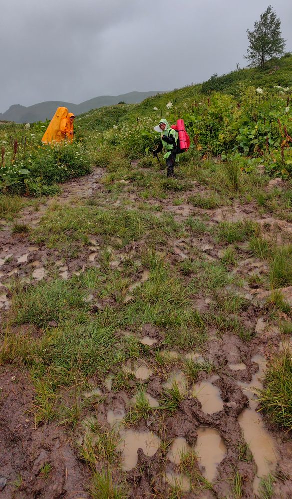 Фотография автора Татьяна Сергиенко