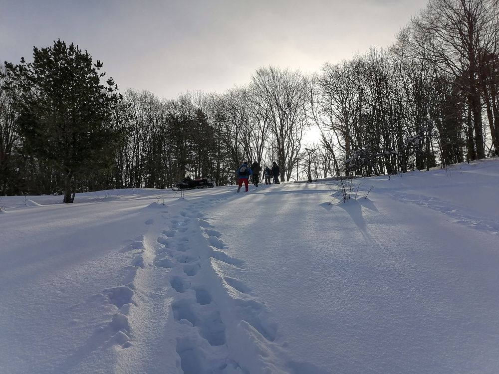 Фотография автора Татьяна Сергиенко