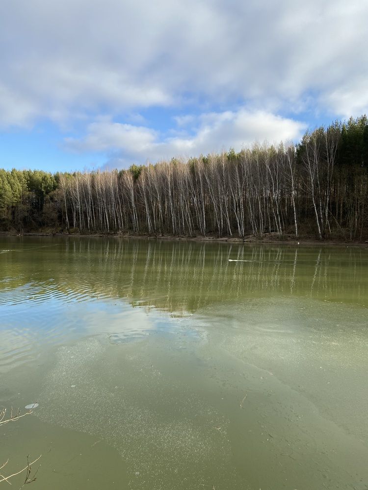 Photograph by Светлана