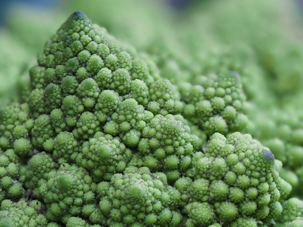 Photograph by Ирина Протченко