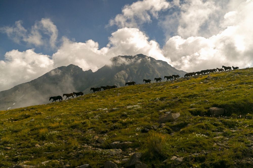 Photograph by Iva Ajva