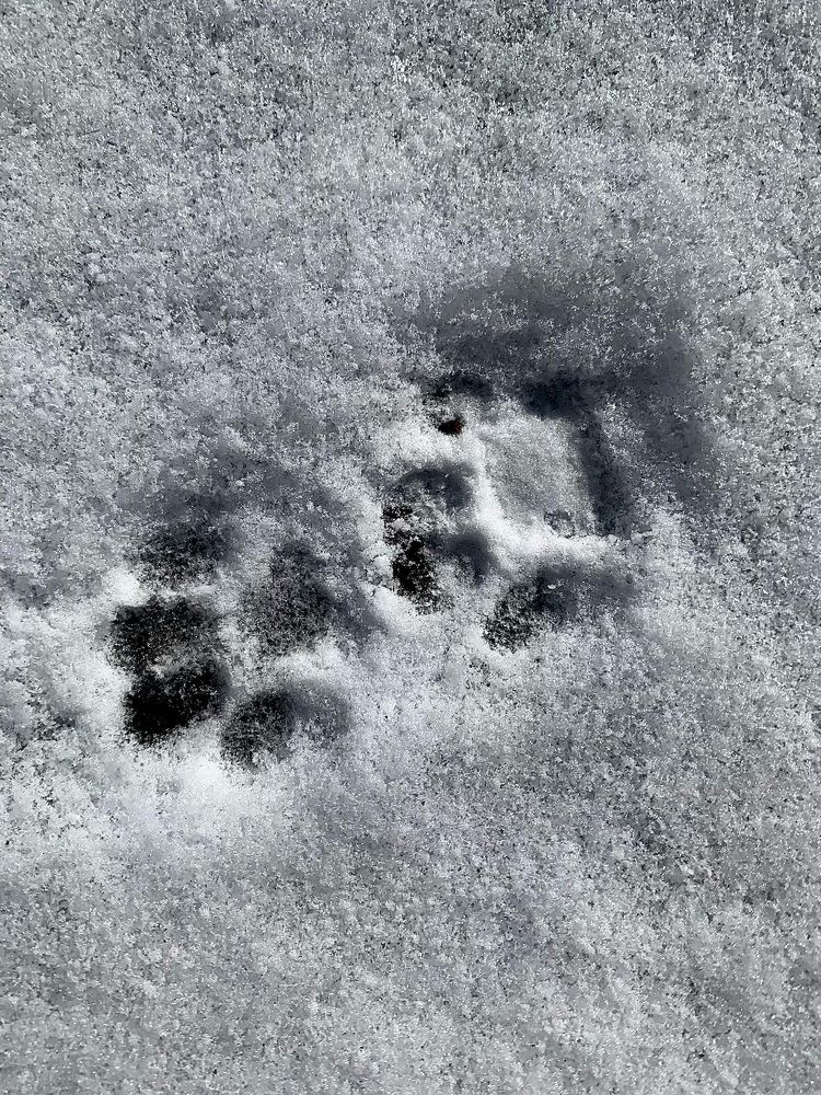 Photograph by Анна Пигулевская