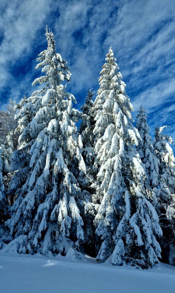 Photograph by Ángel (Lito)