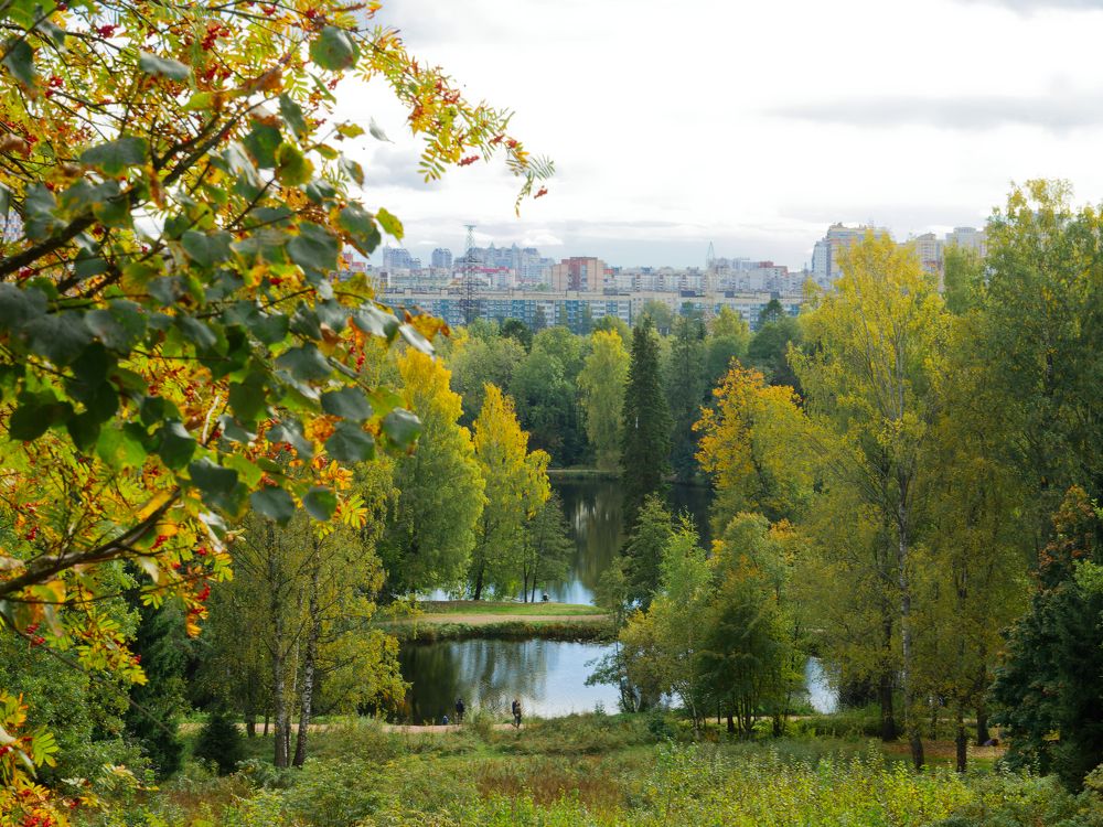 А здесь так спокойно