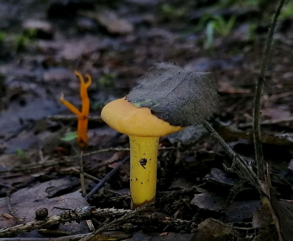 Photograph by Елена Казакова