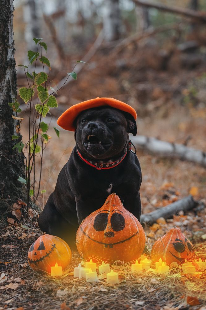 Фотография автора Мария Семенова