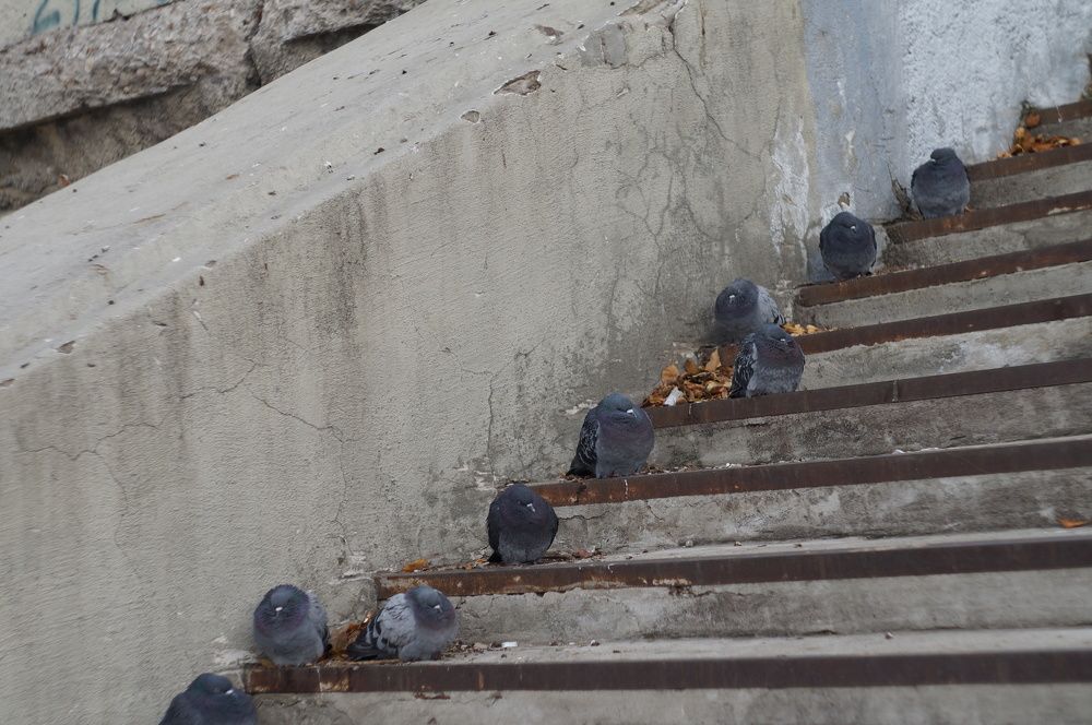 Photograph by Ольга Любогощинская