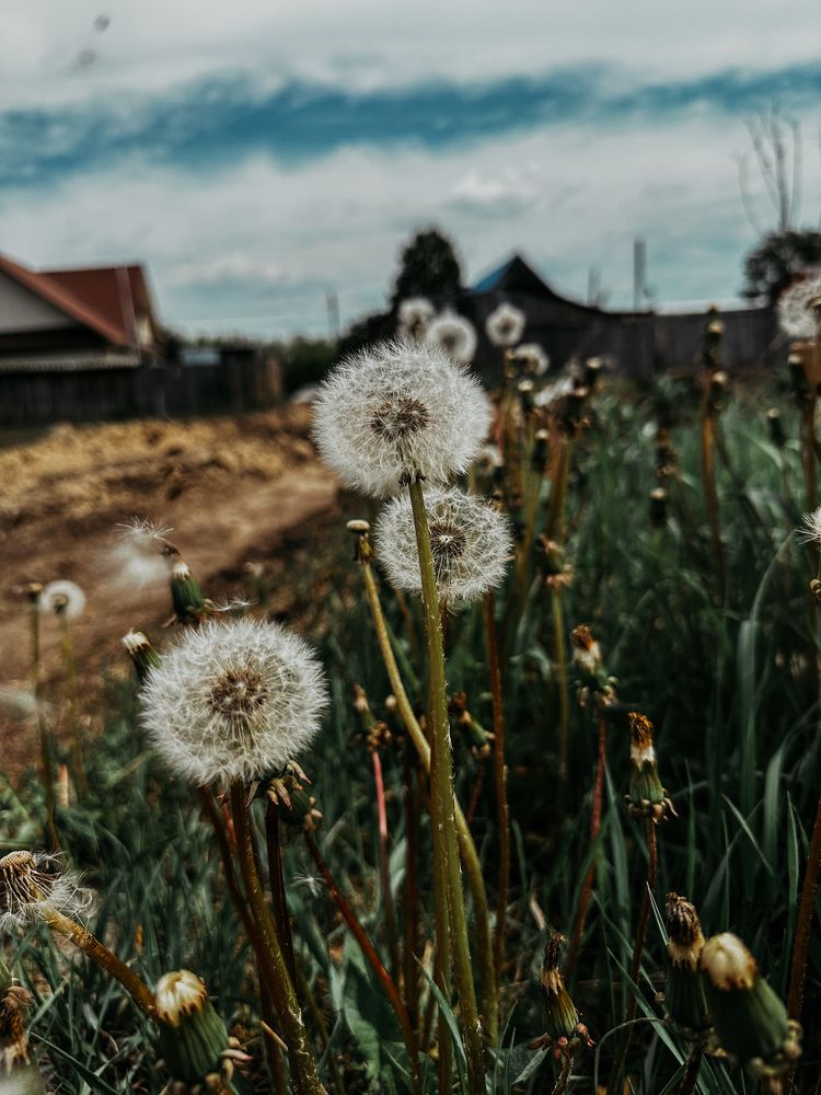 Photograph by Мария Петрова