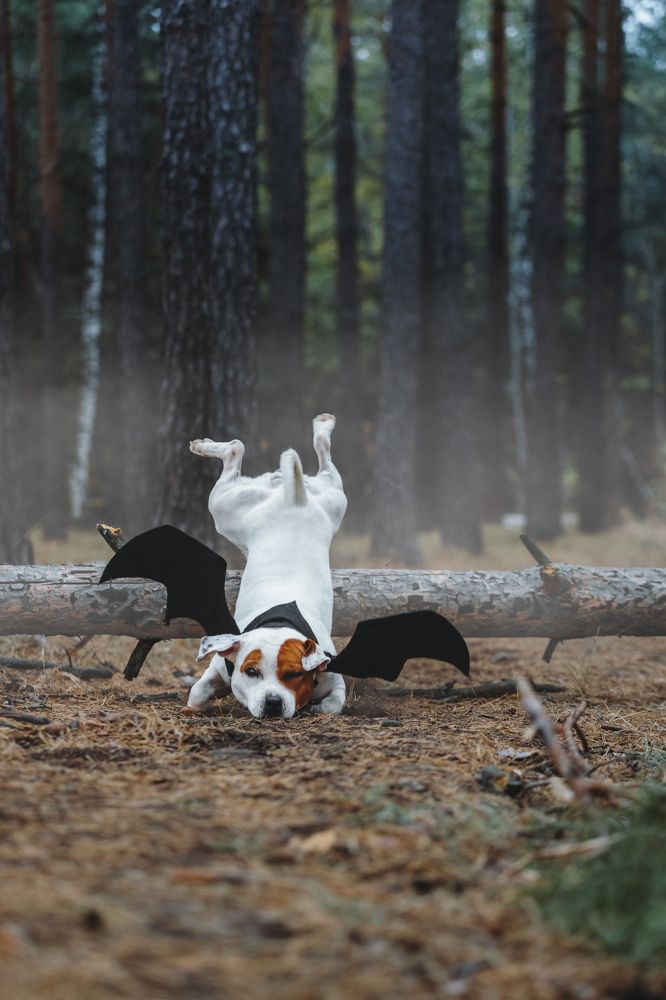 Фотография автора Мария Семенова