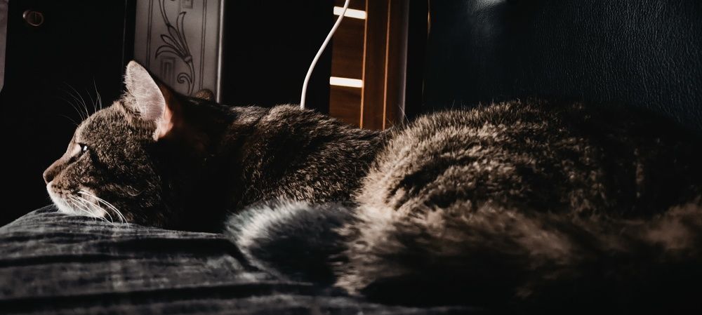 Photograph by Наталья Медовова