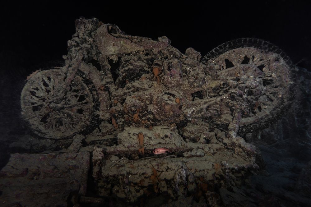 Photograph by JUAN M GUZMÁN