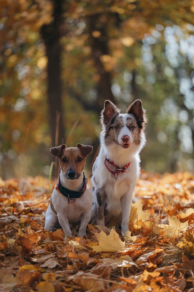 Фотография автора Мария Семенова