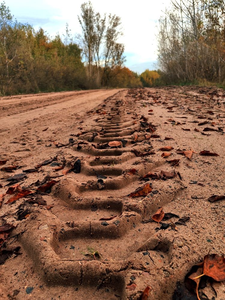 Photograph by Ирина Половцева