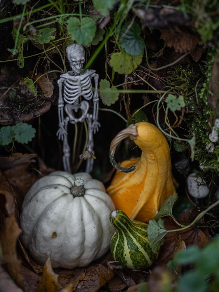 Фотография автора Доляна Ашкова