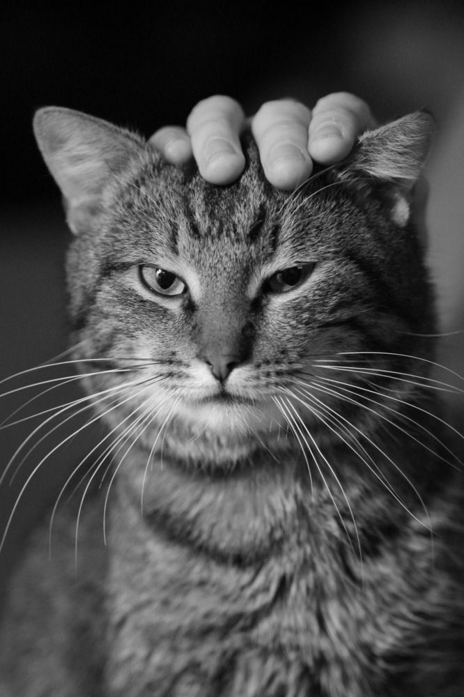 Photograph by Наталья Медовова