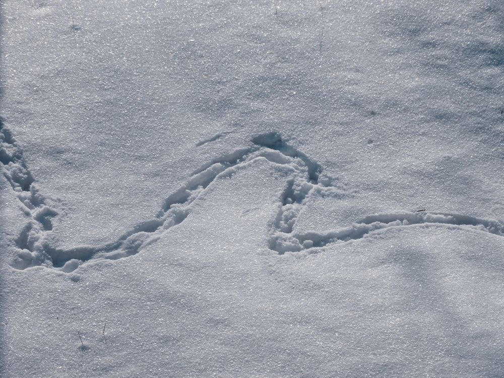 Photograph by Ирина Половцева