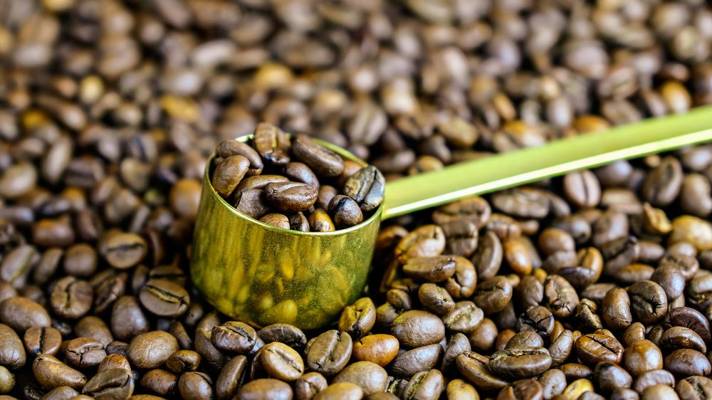 Фотография автора Лидия Филатова