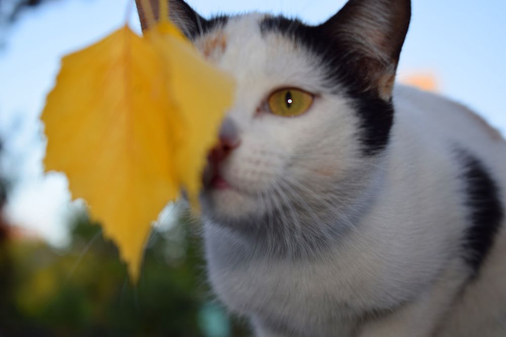 Photograph by  Татьяна Дорожко