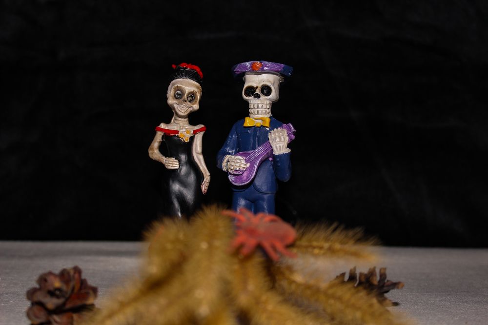 Photograph by Ирина Дмитриенко