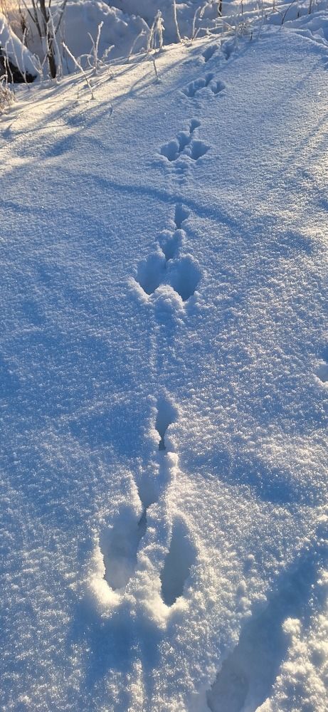 Photograph by Наталья Вялых