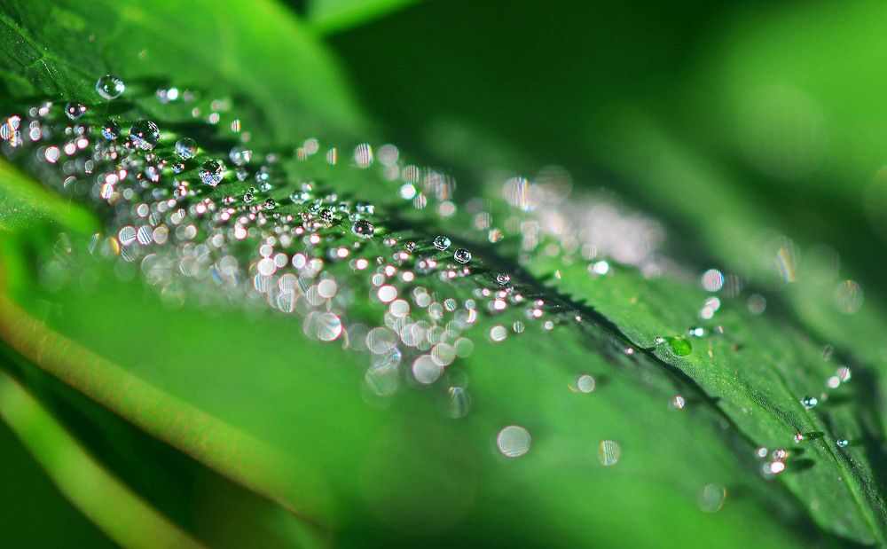 Photograph by Marjo Steffen
